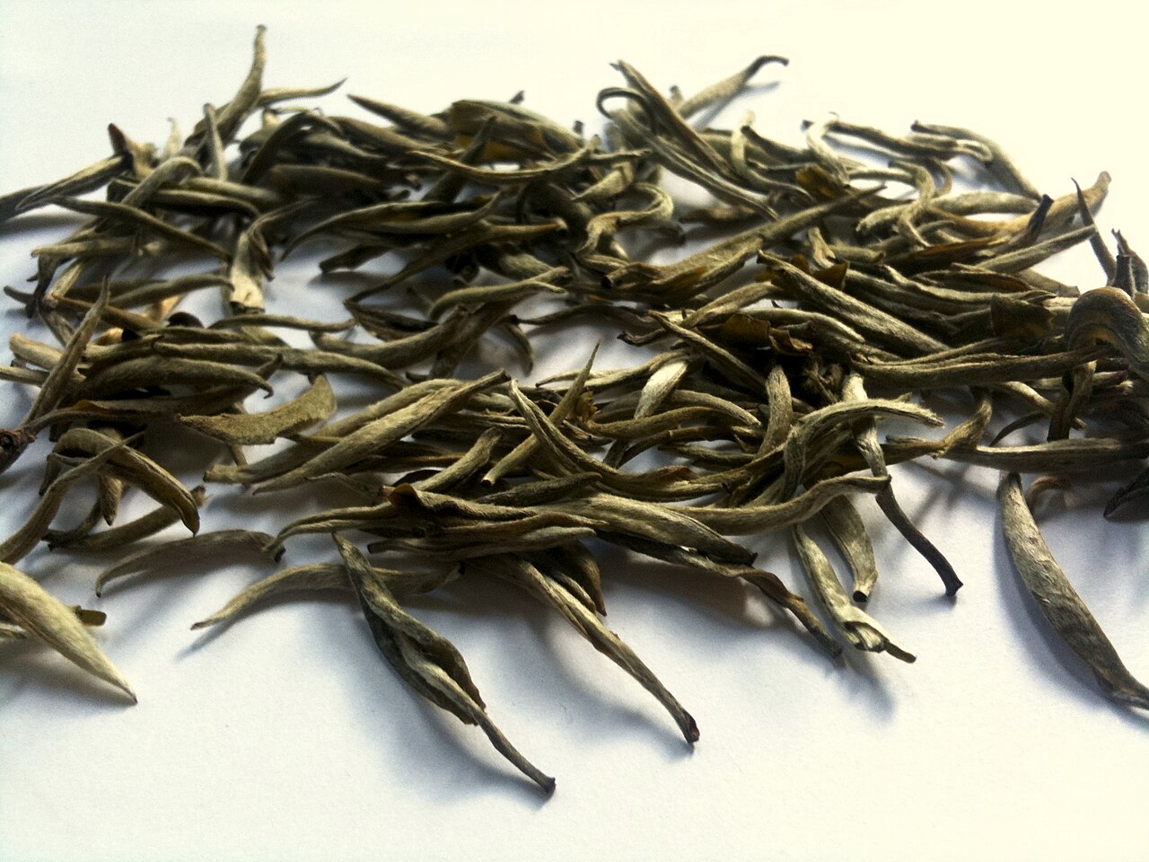 Silver Needle (Bai Hao Yin Zhen) white tea buds
